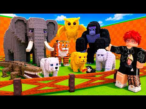 I built a ZOO in STEAL AN EGG 🥚