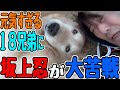 【坂上家の日常】１８兄弟は今日も元気いっぱい！坂上パパは大忙しです。