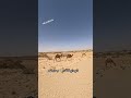ناي داي لا تقدر جمال تقلة