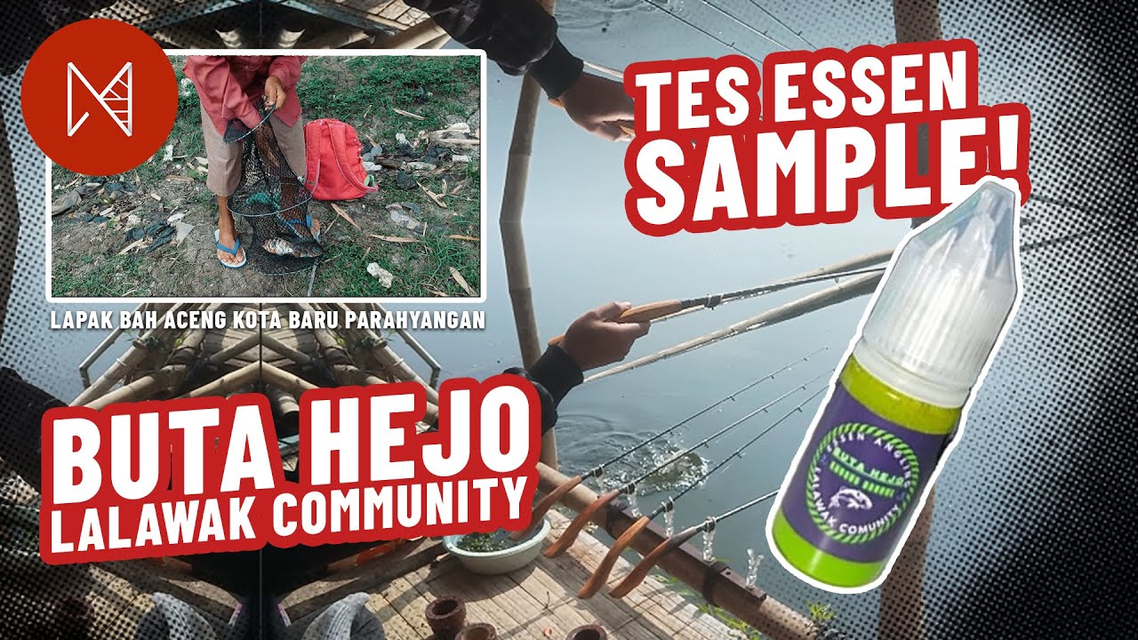 TES ESSEN BUTA HEJO LALAWAK COMMUNITY, CHUDEM!? LAPAK BAH ACENG