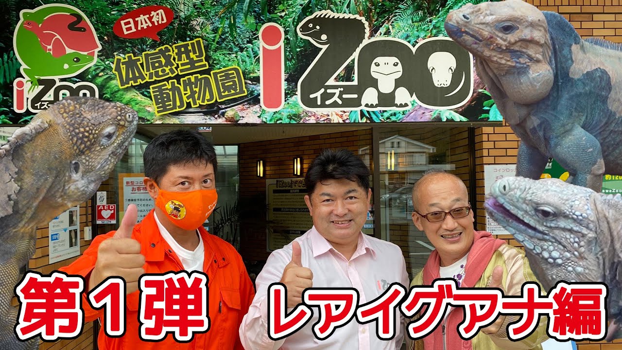 【体感型動物園iZooに潜入！】第１弾〜レアイグアナ編〜