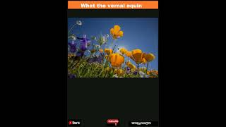 What the vernal equinox has to do with spring|Shorts