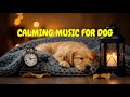 12 HOURS of Soothing Pet Music for Home Alone Dogs 🐾🎶 | Reduce Barking, Whining, and Night Stress
