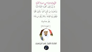 الآية (212)من سورة البقرة// القارئ الشيخ ياسر الدوسري.