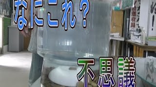 【なにこれ？】不思議なお店に行ってみた【観光スポット？】 後半