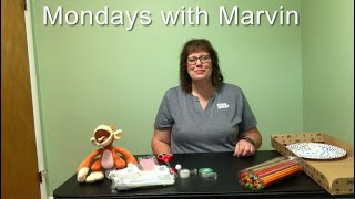 Mondays With Marvin - Box Maze