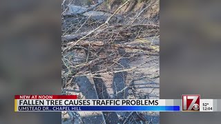 Downed tree causes street closure in Chapel Hill