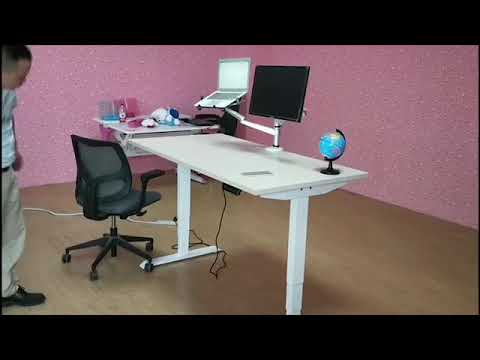 2 Motors Electric Height Adjustable Standing Desk Ruishi