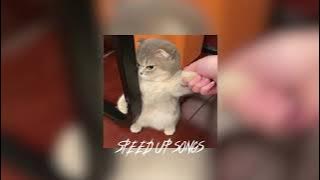 Vidi Aldiano - Aku Cinta Dia (Speed Up)