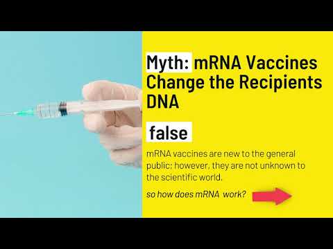 Debunking 3 Top COVID-19 Vaccine Myths