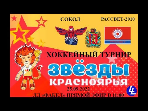 Сокол моторс рассвет лада