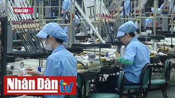 Đổi mới sáng tạo xanh - Giải pháp thúc đẩy các mục tiêu phát triển bền vững | Năng lượng xanh