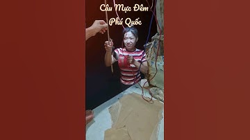 Câu Mực Đêm |Cảng An Thới TP Phú Quốc , Kiên Giang #xuhuong @NguyenAnNhan