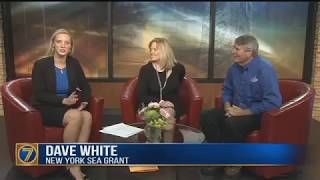 NY's Great Lakes Small Grants Program: $20K Available for Community Projects (March 2018)