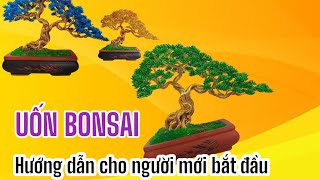 Hướng dẫn uốn bonsai cho người mới chơi