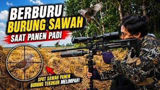 HUNTING AND COOKING | THIS TIME WE COOKED A LARGE BIRD WITH ARES VEGETABLES _ Battlesurvival.