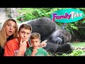 Visitamos la familia de papa gorila en loro parque