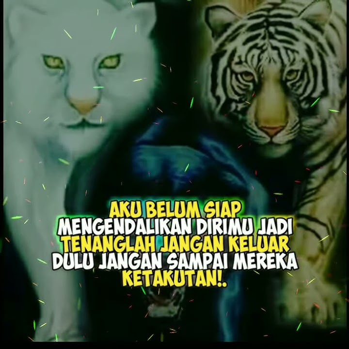 Story wa macan putih