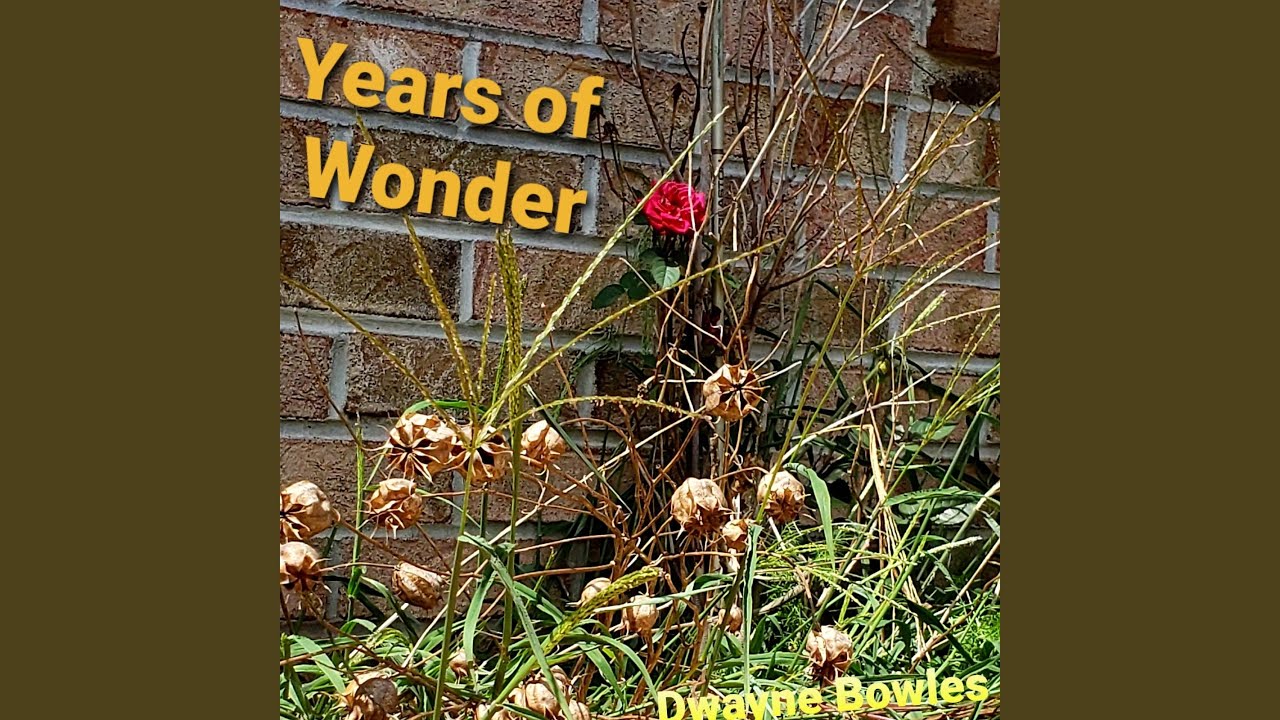 Years of Wonder