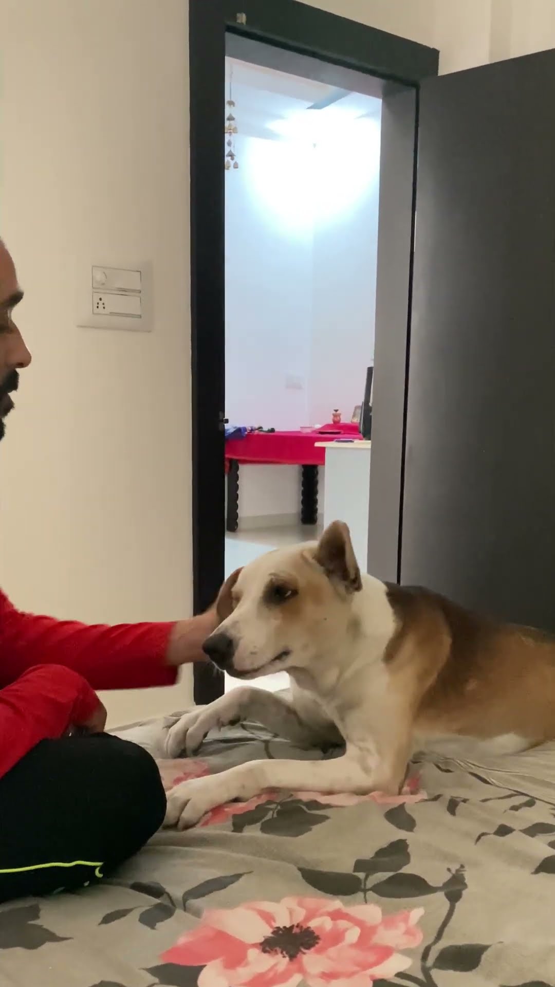 Dog Demands Head Massage || ViralHog