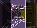 Exploring Memory Phenomena: From Amnesia and Interference to Consolidation and Schemas