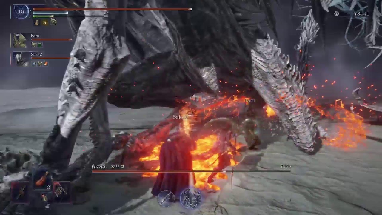 ELDEN RING NIGHTREIGN   深度4野良で300連勝目指す　219連勝～