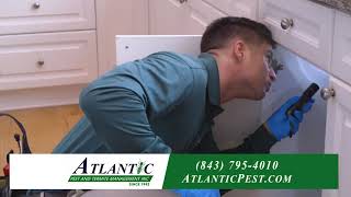 Termite and Pest Control Services | Atlantic Pest and Termite Management, Inc | 843-795-4010