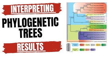 Interpreting  phylogenetic tree results| Phylogeny|Evolution|Education|Biology|Genomics