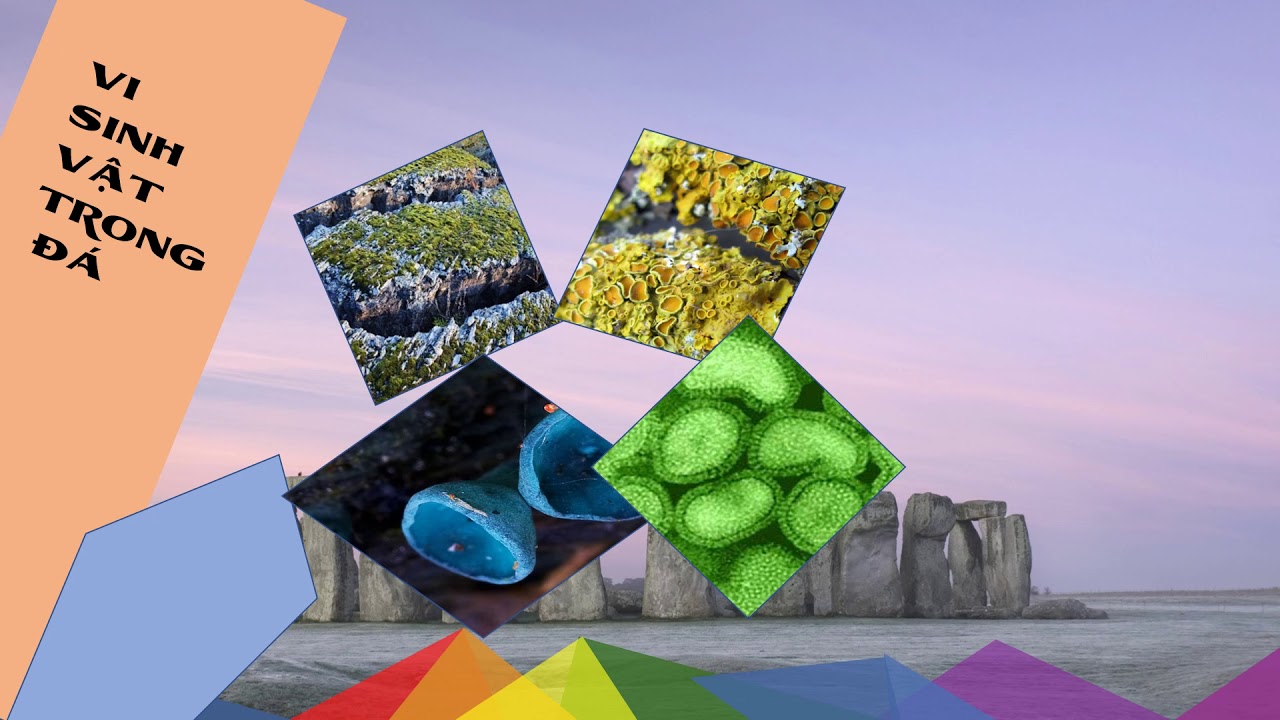 Microbial Deterioration of Cultural Heritage Materials - YouTube
