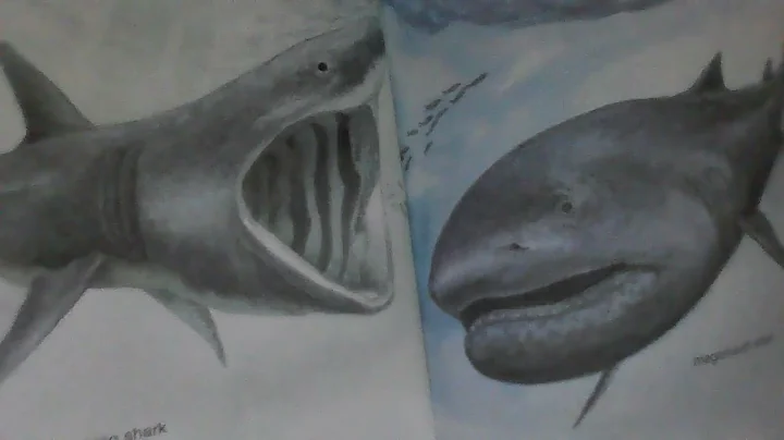 Sharks! All aboard science reader | By Ginjer Clar...