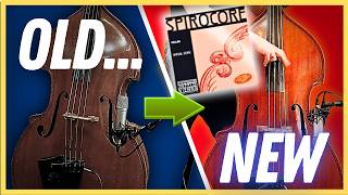 15-Year-Old Double Bass Strings vs Brand New Strings | Thomastik-Infeld Spirocore