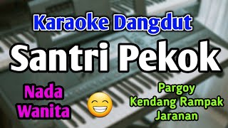 SANTRI PEKOK - KARAOKE || NADA WANITA CEWEK || Versi Koplo || Pargoy || Live Keyboard