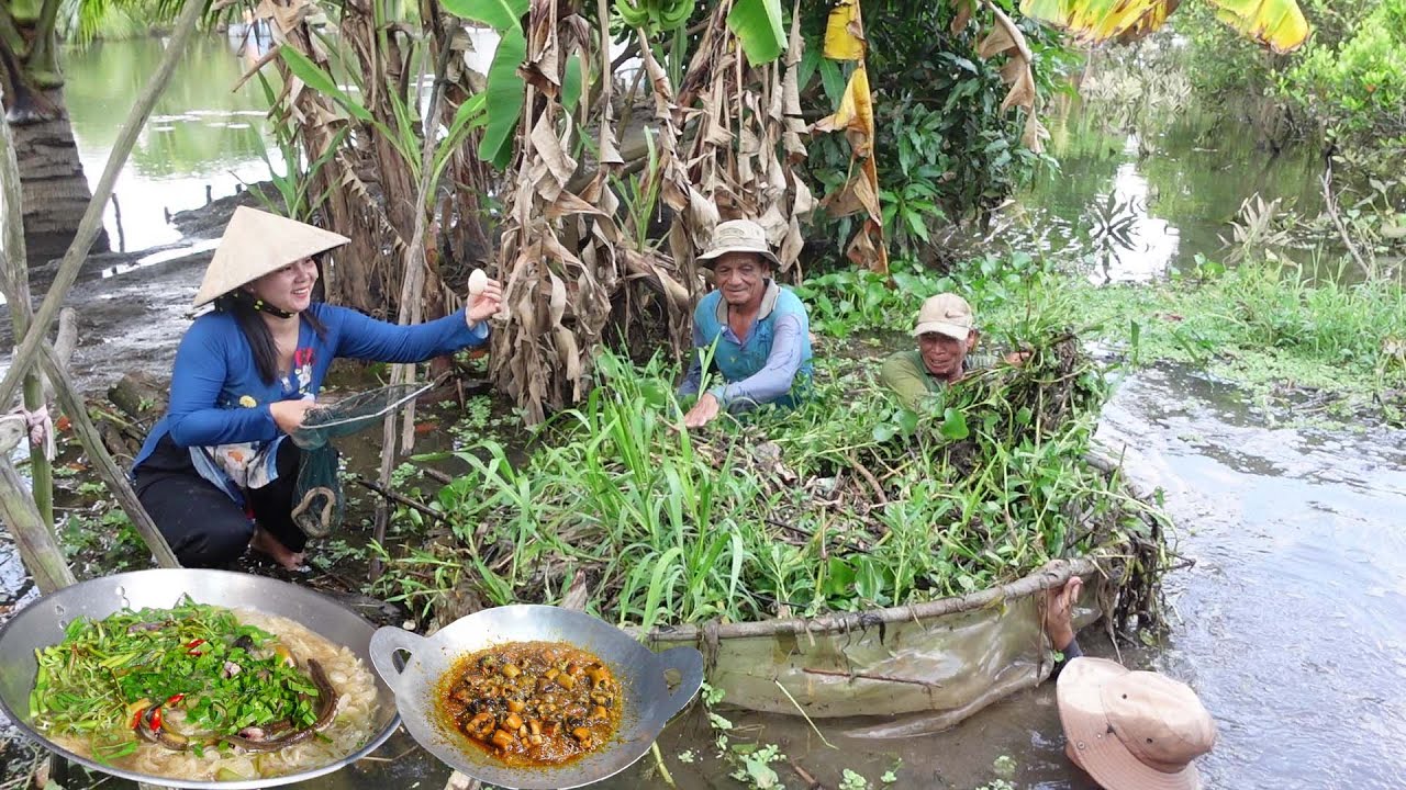 Xúc Ủ Lươn Mùa Nước Nổi được Bữa Cơm Canh Chua Lươn Gỏi Chuối Lươn Kho Sả Ớt | HQ 