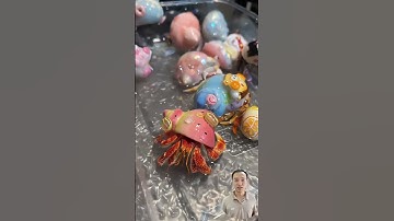 Ốc mượn hồn về nhà mới | Cua ẩn sĩ 🐚 #hermit_snail #shorts