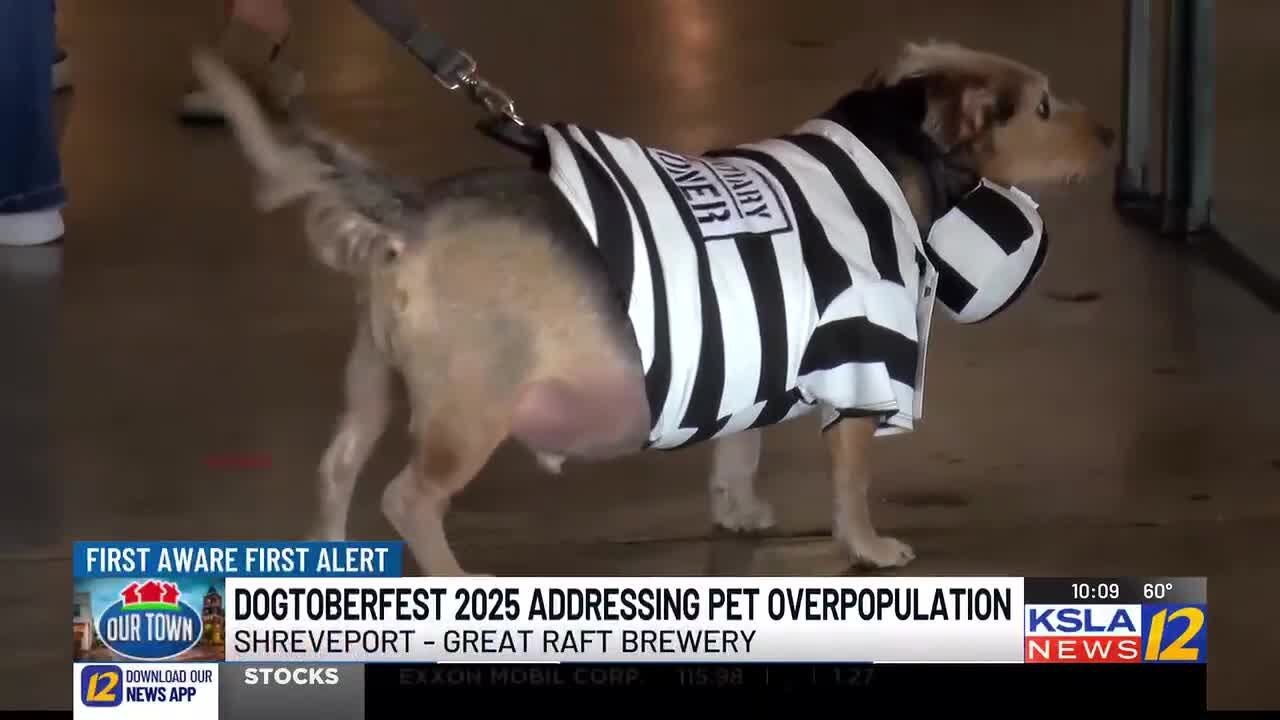 Costumed dogs and community support highlight Robinson Rescue fundraiser