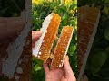 ASMR | Freshly taken honeycomb's quality | Ai vortex |