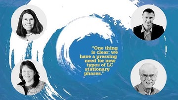 Sneak Preview of Issue 29