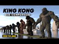 King kong size comparison  evolution of king kong