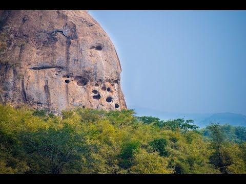 Rangaswamy Betta video
