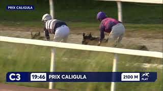 Vidéo de la course PMU PRIX CALIGULA