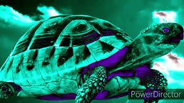 Lonely Goomba SpongeBob Theme Intro In IcePurpleFlangedSawChorded