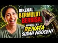 Dikenal Bermulut Berbisa, Begini Ketika Renata Sudah Ngoceh!