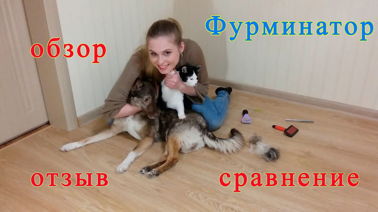 Фурминатор ✅ Обзор ✅Отзыв ✅Сравнение с расческами при чесании кошки и собаки