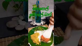 Sri lankan Rice and curry in Banana Leaf