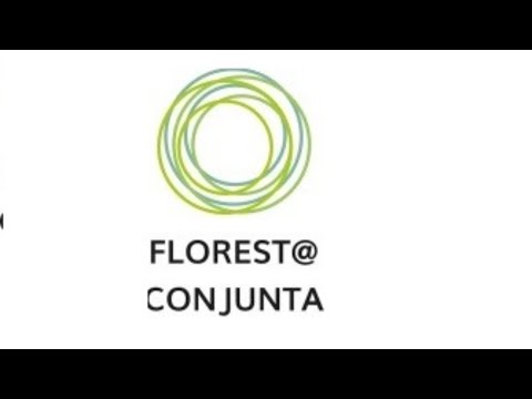Vídeo: Mestre Da Floresta - Visão Alternativa