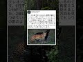 影と光が並んだ瞬間