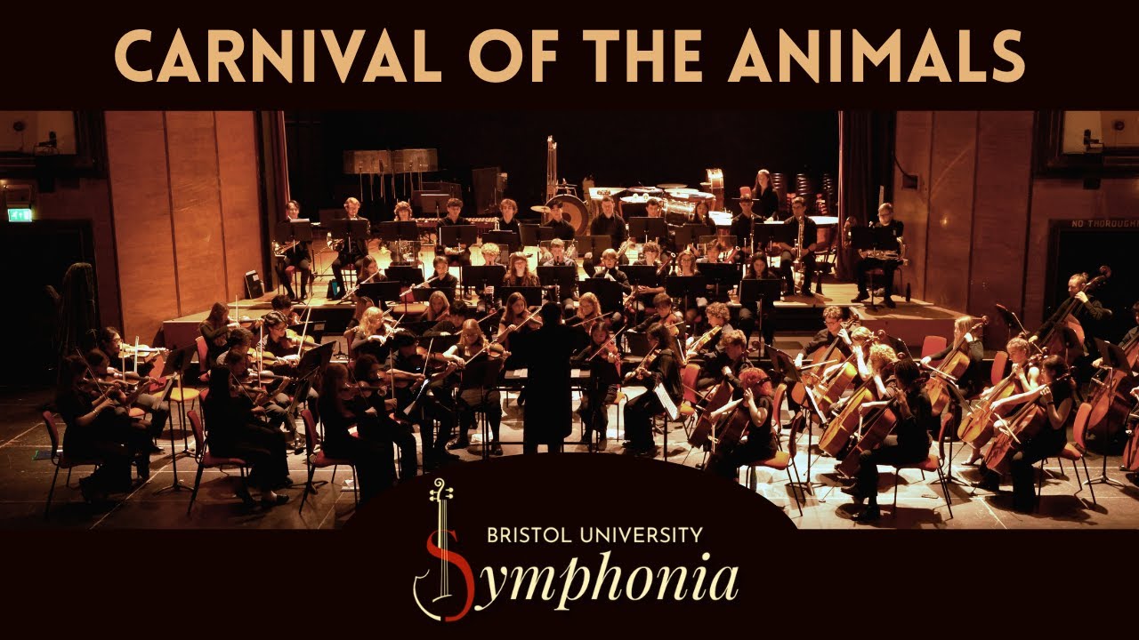 Carnival of the Animals | arr. George Owen | Bristol University Symphonia Orchestra
