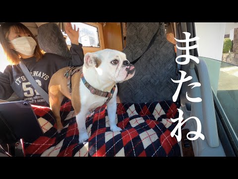 【おはぶる】愛犬と女子旅♪心地よかった実家を離れ、キャンピングカーの旅を再会します！