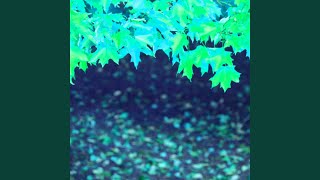 Spirited Ambience for Virtual Style
