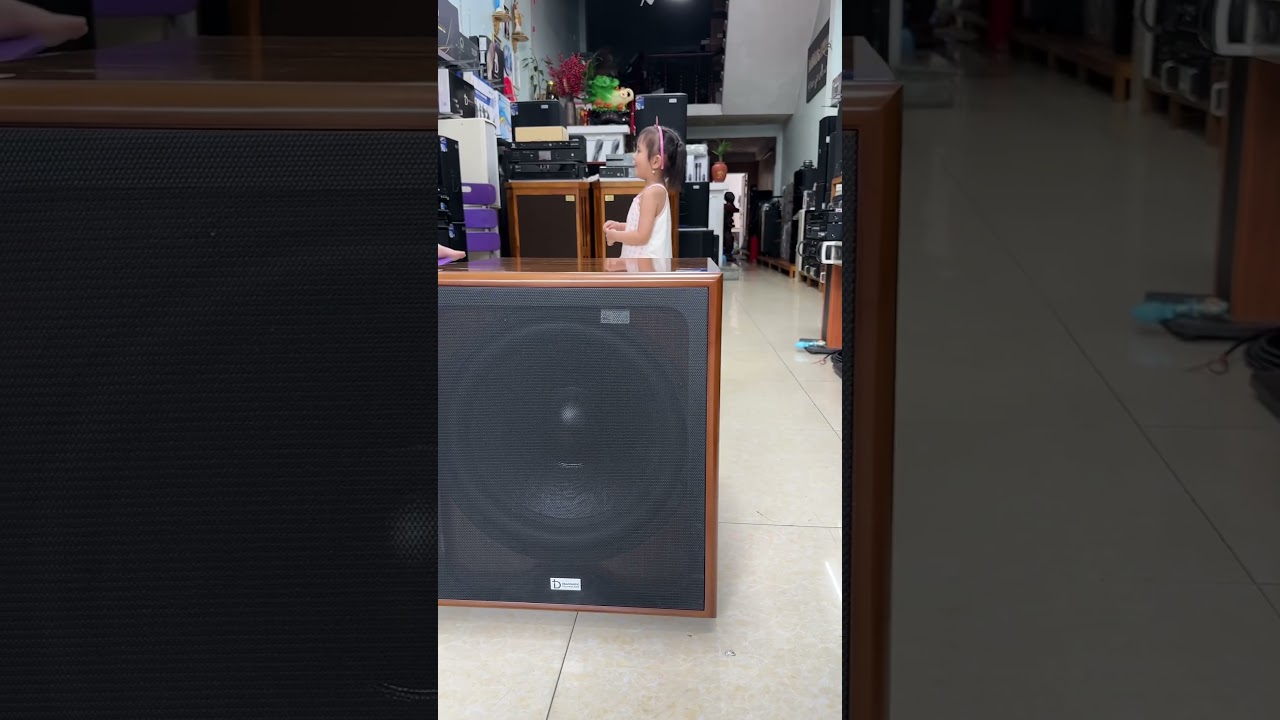 Loa Sub điện bass 40 chính hãng của DBACOUSTIC giá lại hạt rẻ với công suất 350w